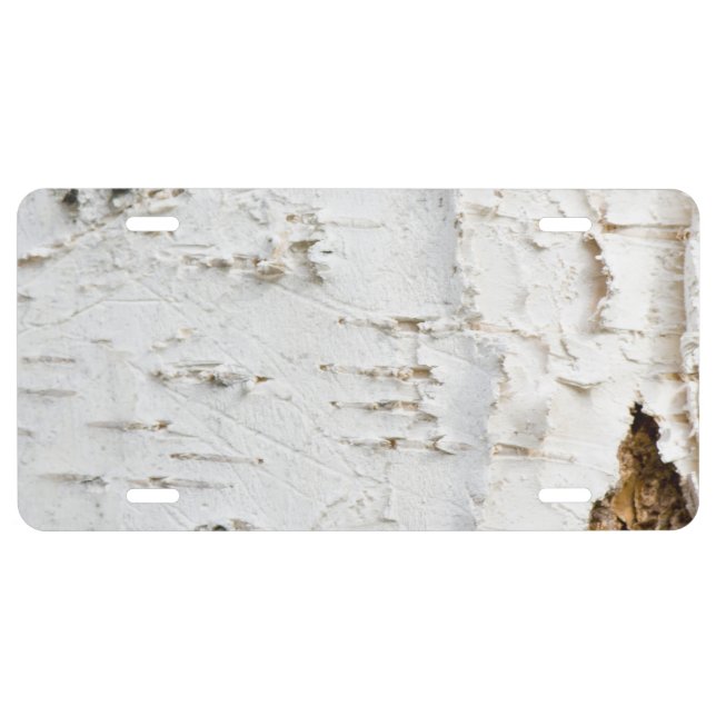 Birch bark pattern license plate (Front)