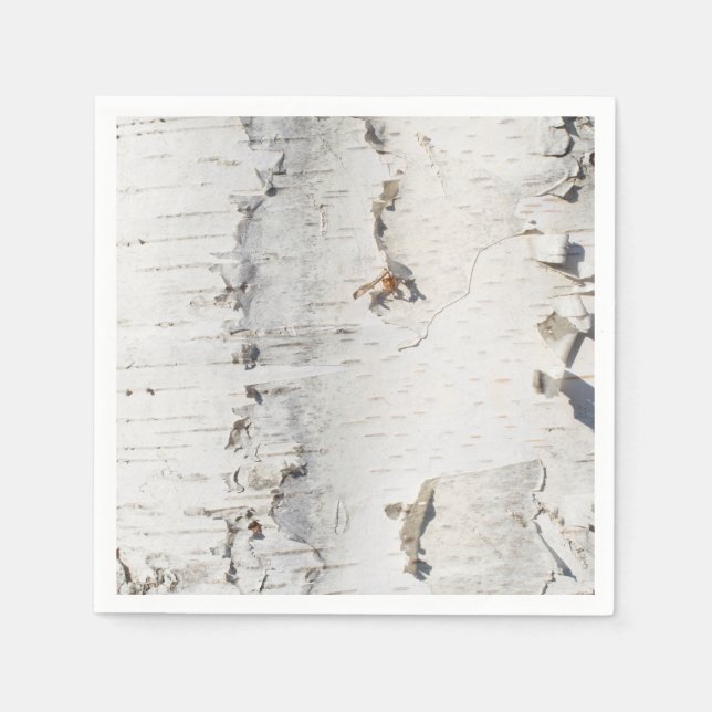 Birch bark pattern napkins (Front)