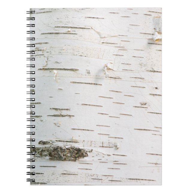 Birch bark pattern notebook (Front)