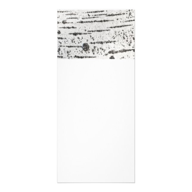 Birch bark pattern rack card (Front)