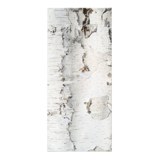 Birch bark pattern rack card (Front)