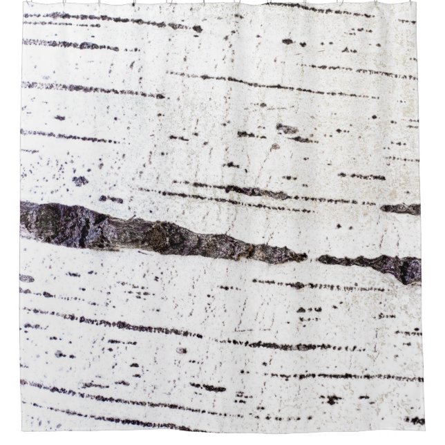 Birch bark pattern shower curtain (Front)
