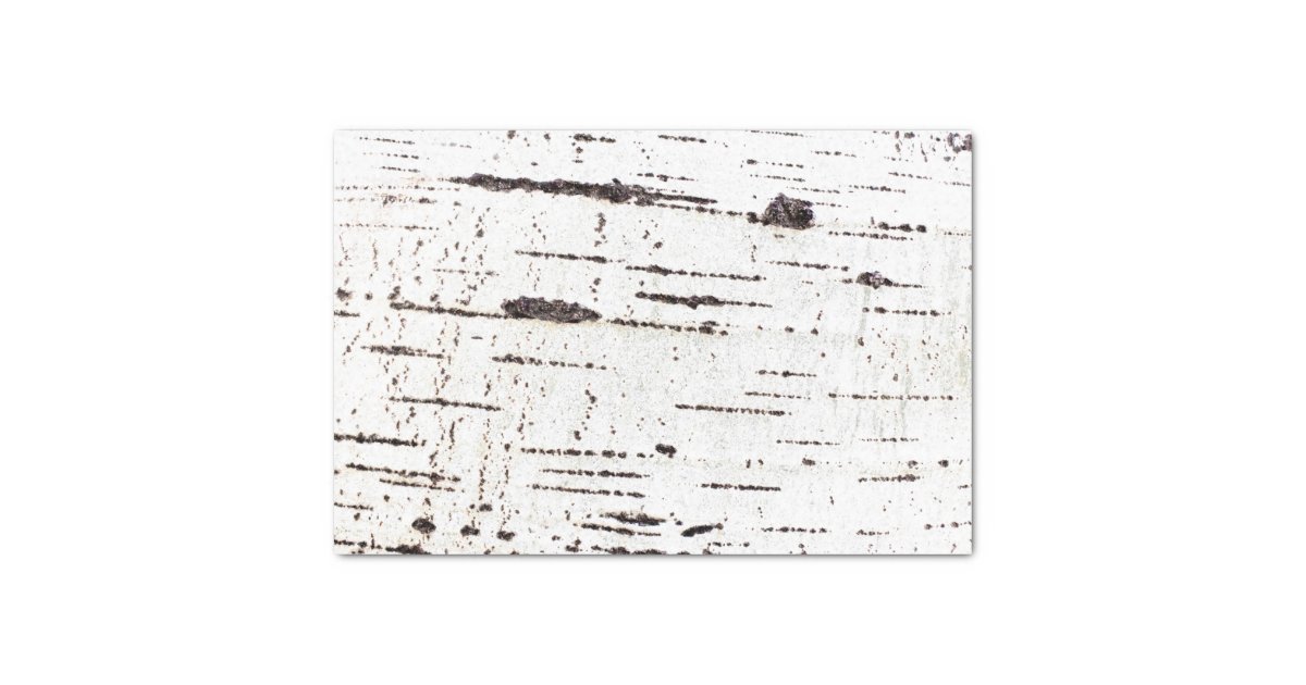 Birch bark pattern tissue paper | Zazzle