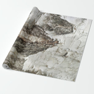 Birch bark pattern wrapping paper