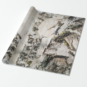Birch bark pattern wrapping paper
