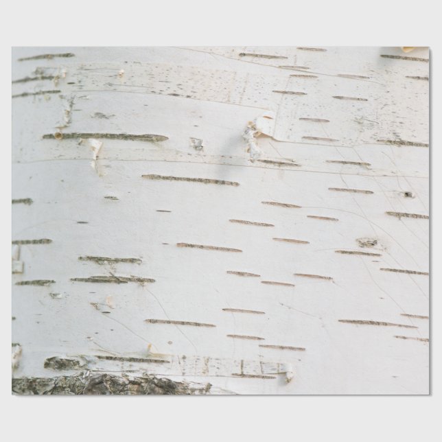 Birch bark pattern wrapping paper (Flat)