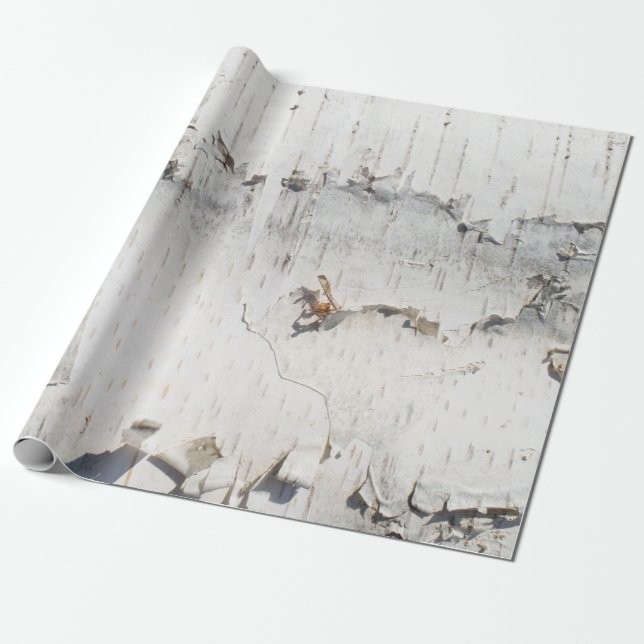 Birch bark pattern wrapping paper (Unrolled)