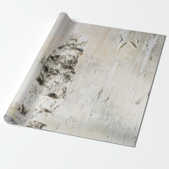 Birch bark pattern wrapping paper (Unrolled)