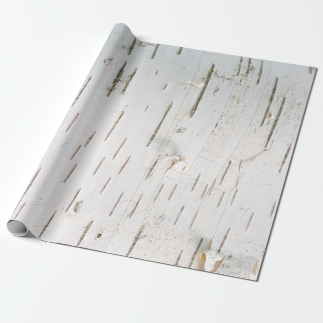 Birch bark pattern wrapping paper (Unrolled)