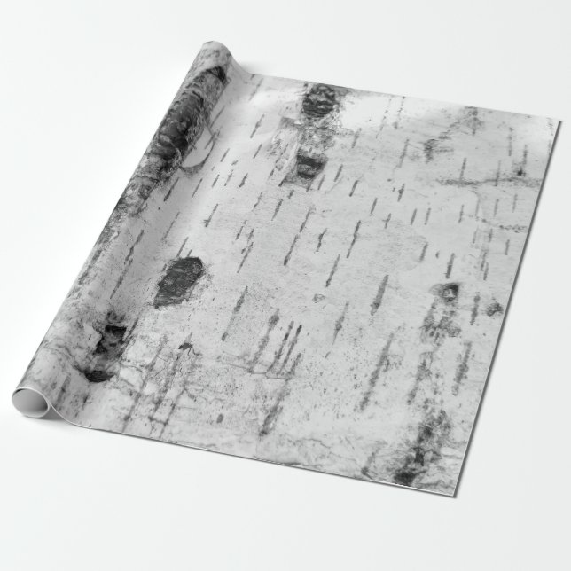 Birch bark pattern wrapping paper (Unrolled)