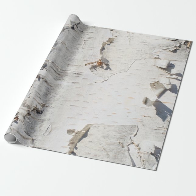 Birch bark pattern wrapping paper (Unrolled)