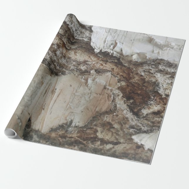 Birch bark pattern wrapping paper (Unrolled)