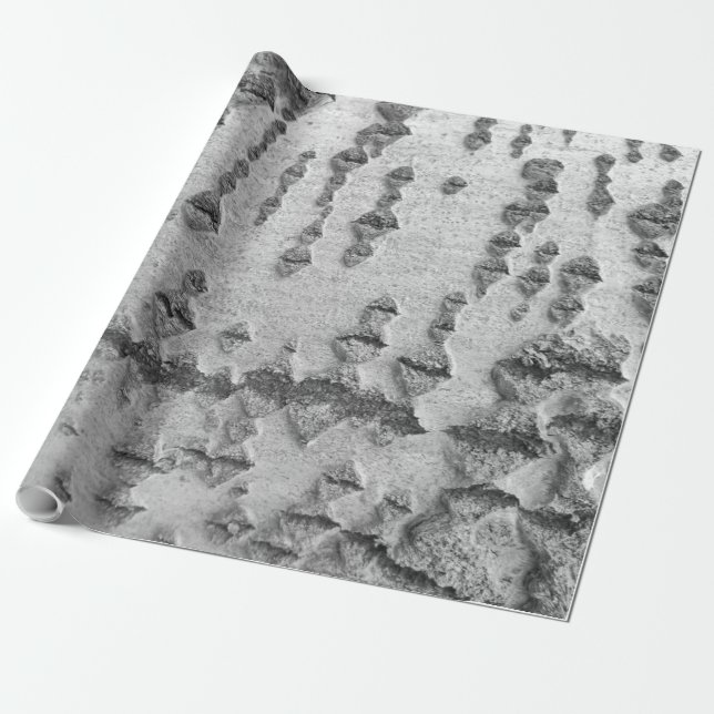 Birch bark pattern wrapping paper (Unrolled)