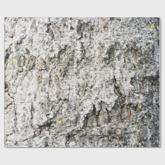 Birch bark pattern wrapping paper