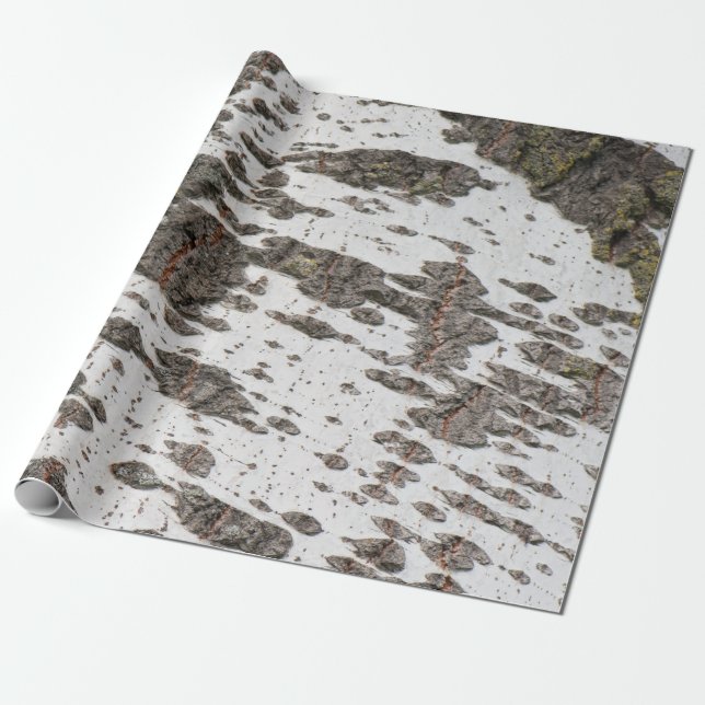 Birch bark pattern wrapping paper (Unrolled)