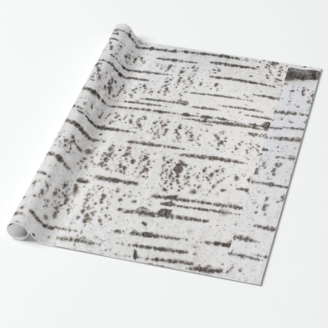 Birch bark pattern wrapping paper (Unrolled)