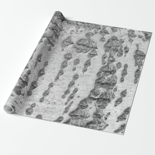 Birch bark pattern wrapping paper (Unrolled)