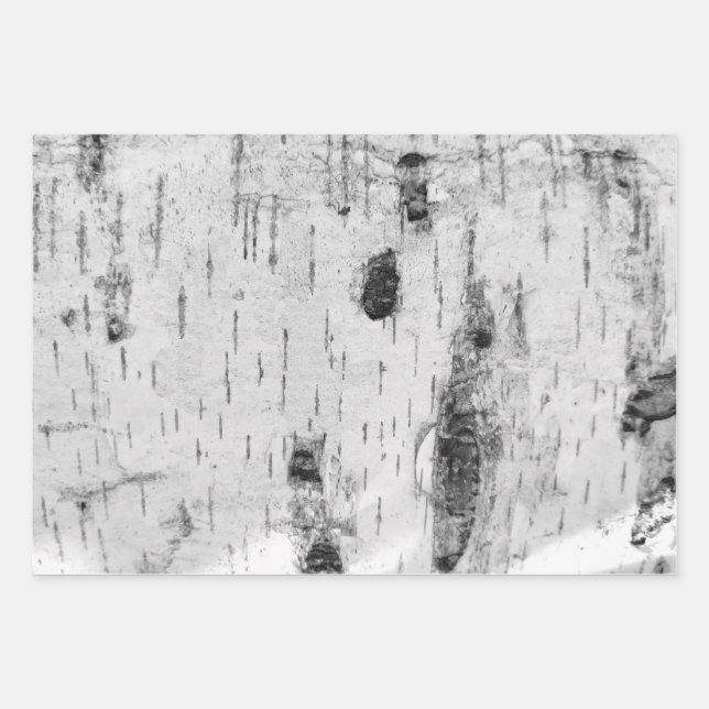 Birch bark pattern wrapping paper sheets (Front)