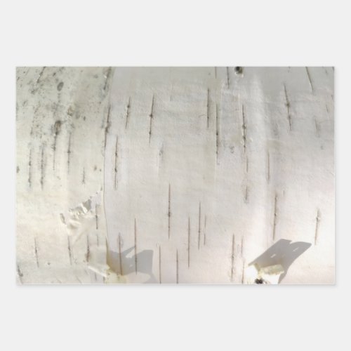 Birch bark pattern wrapping paper sheets