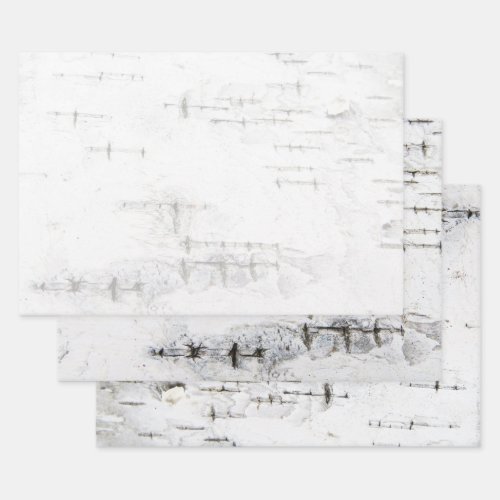 Birch bark pattern wrapping paper sheets