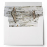 Birch