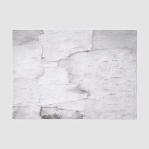 Birch Bark Tree Black And White Rustic Woodland Tissue Paper