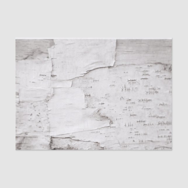 Birch Bark Tree White Rustic Country Woodland Tissue Paper (Front)