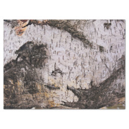 Birch Bark - wood texture nature photo Tissue Paper