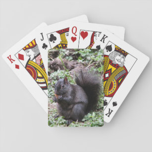 BIRCH BAY SQUIRREL PLAYING CARDS