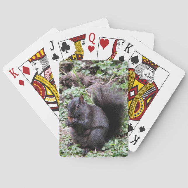 BIRCH BAY SQUIRREL POKER CARDS (Back)