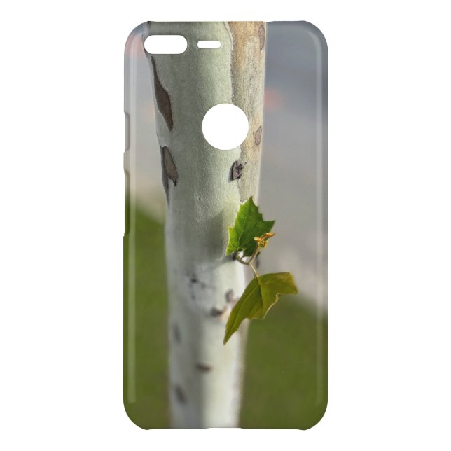 Birch by roadside uncommon google pixel XL case (Back)