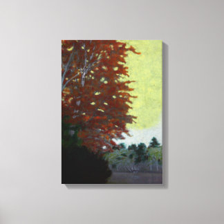 Birch By The Lake Canvas Print