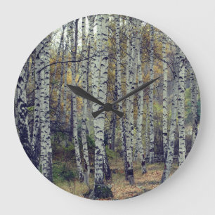 Birch Forrest Autumn Photo Round Wall Clock