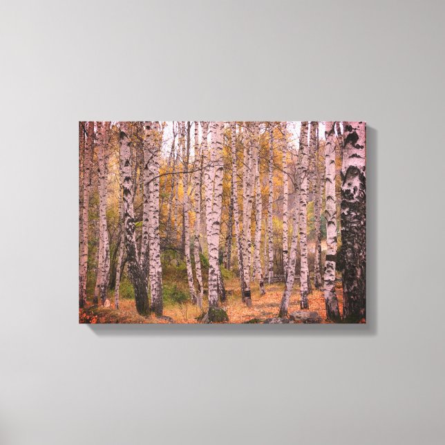Birch Forrest Autumn Photo Single Canvas Print (Front)