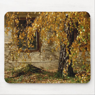 Birch In Autumn Mouse Pad