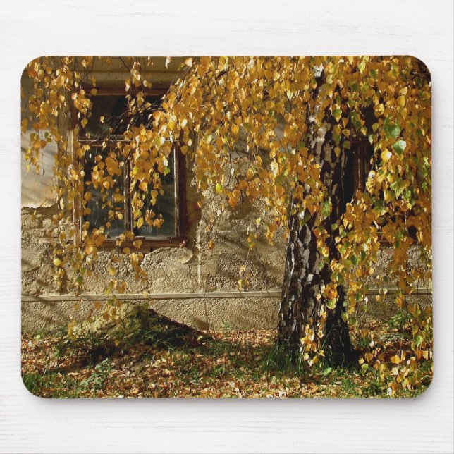 Birch In Autumn Mouse Pad (Front)
