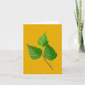 Birch leaf  note card