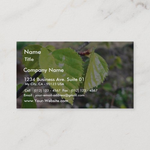 Birch Leaves Green Leaves Business Card Templates