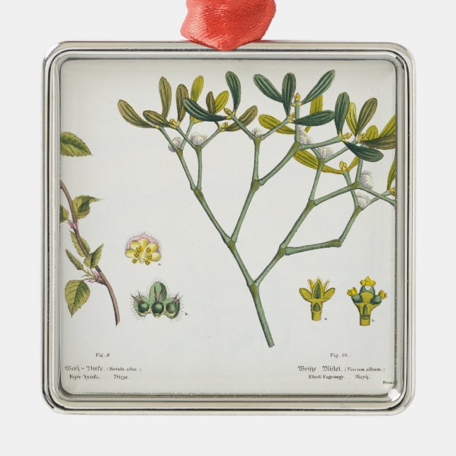 Birch (left) and Mistletoe (right), fig. 9 and 10 Metal Ornament (Front)
