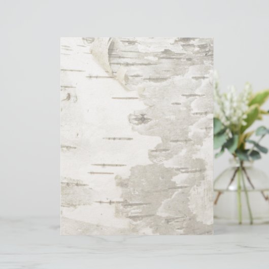Birch lite (Standing Front)