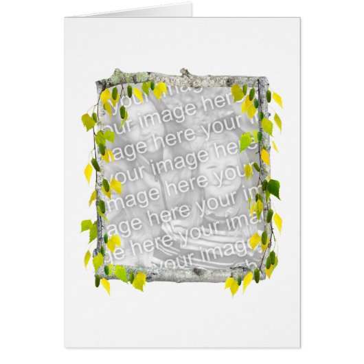 Birch Photo Card (Front)