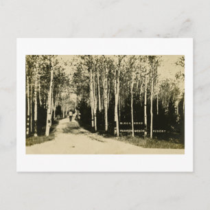 Birch Road Harbor Beach Resort, Michigan Postcard