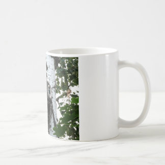 Birch Soul Tree Magic Face Photo Classic White Mug