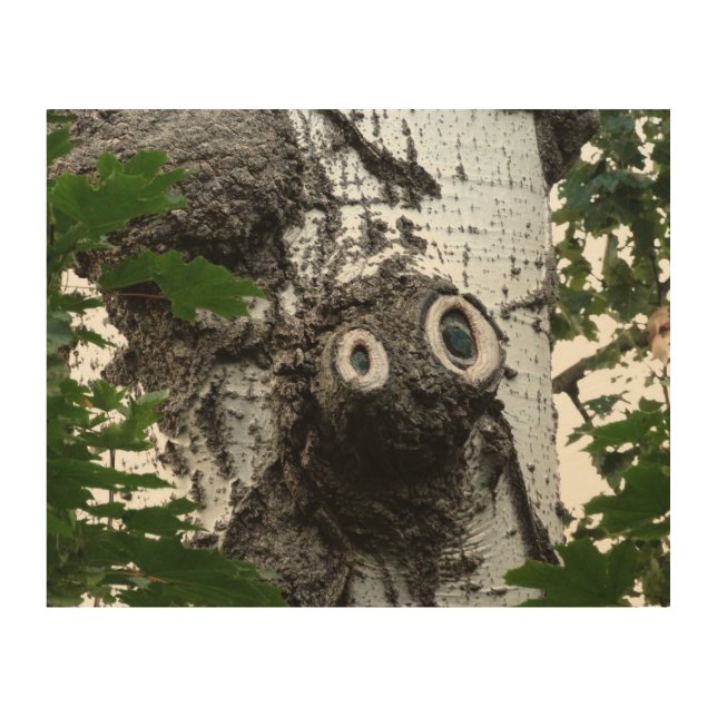 Birch Soul Tree Magic Face Photography Wall Art (Front)