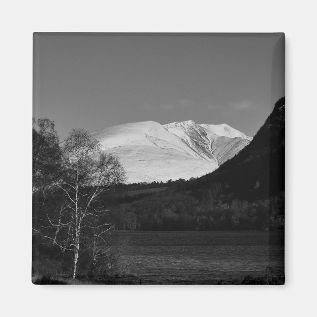 Birch tree and Blencathra Magnet (Front)