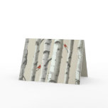 Birch