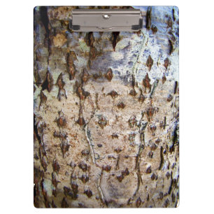 Birch Tree Bark Clipboard