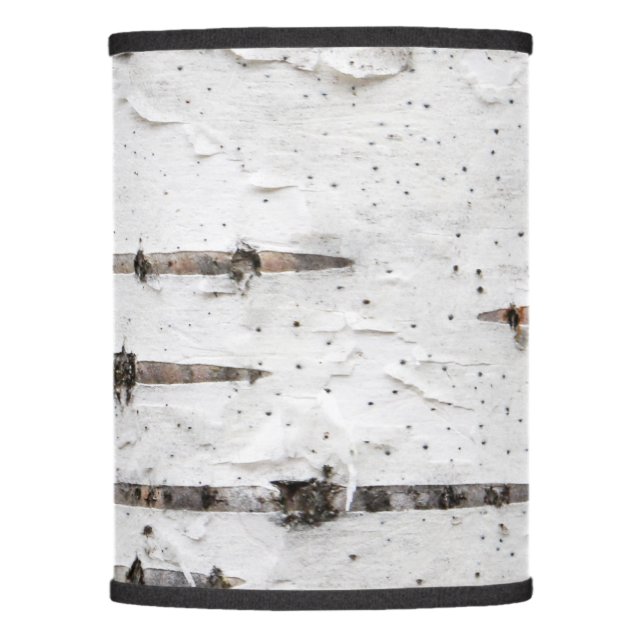 Birch Tree Bark Lamp Shade (Front)