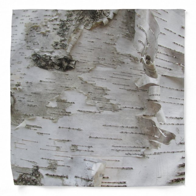Birch Tree Bark Peeled Old Photo Art Bandana (Front)