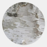 Birch Tree Bark Peeled Old Photo Art Classic Round Sticker